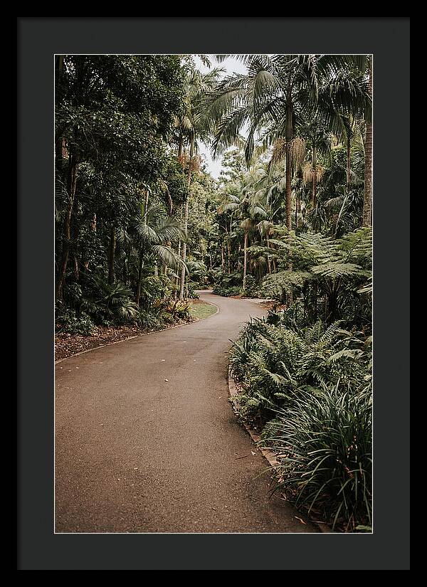Bicycle Path Through Lush Greenery