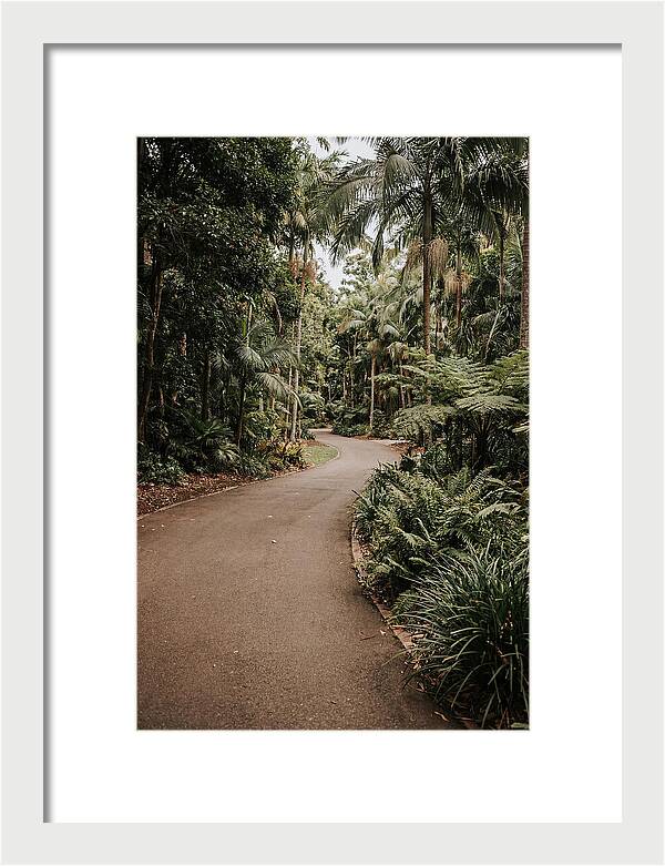 Bicycle Path Through Lush Greenery