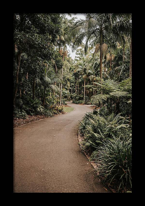 Bicycle Path Through Lush Greenery