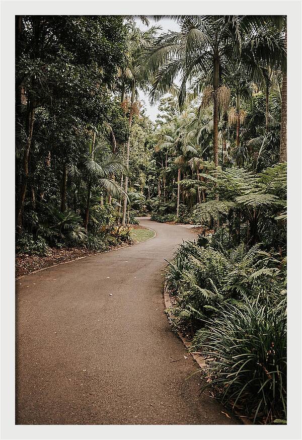 Bicycle Path Through Lush Greenery