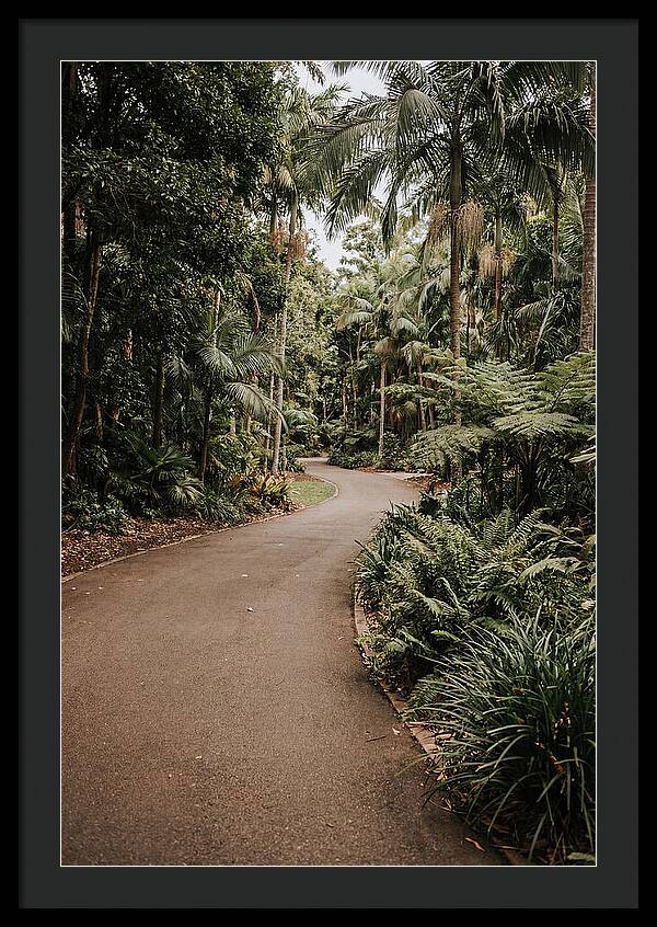 Bicycle Path Through Lush Greenery