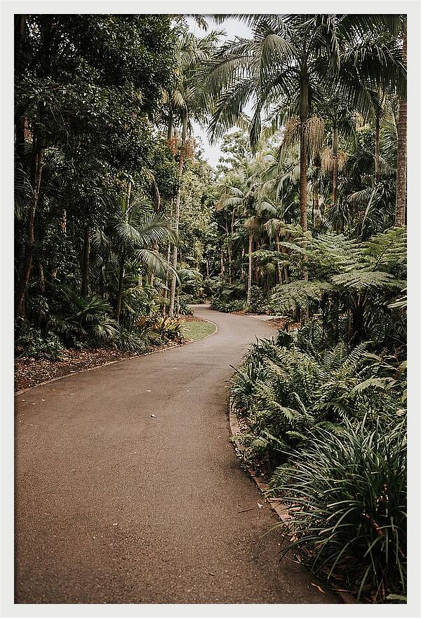 Bicycle Path Through Lush Greenery