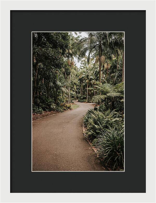 Bicycle Path Through Lush Greenery