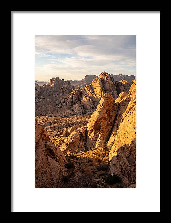 Big Bend Desert Majesty