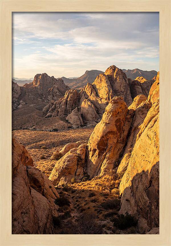 Big Bend Desert Majesty