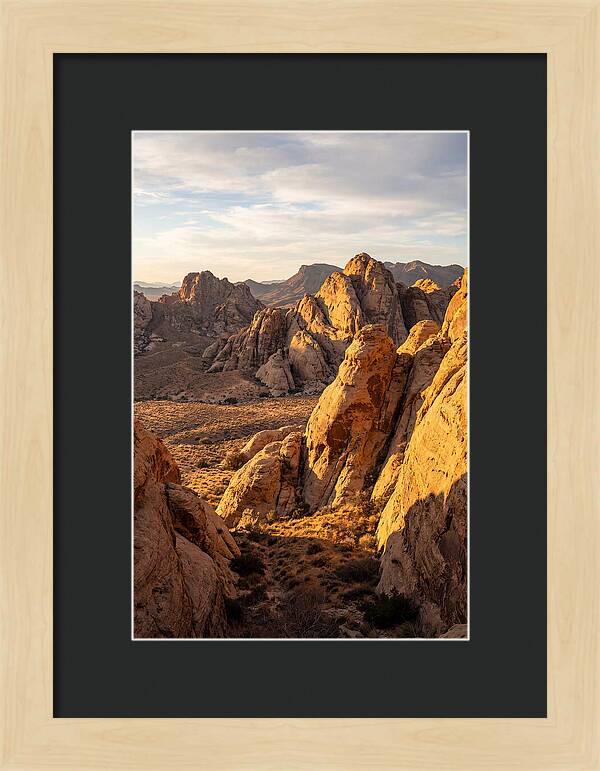 Big Bend Desert Majesty