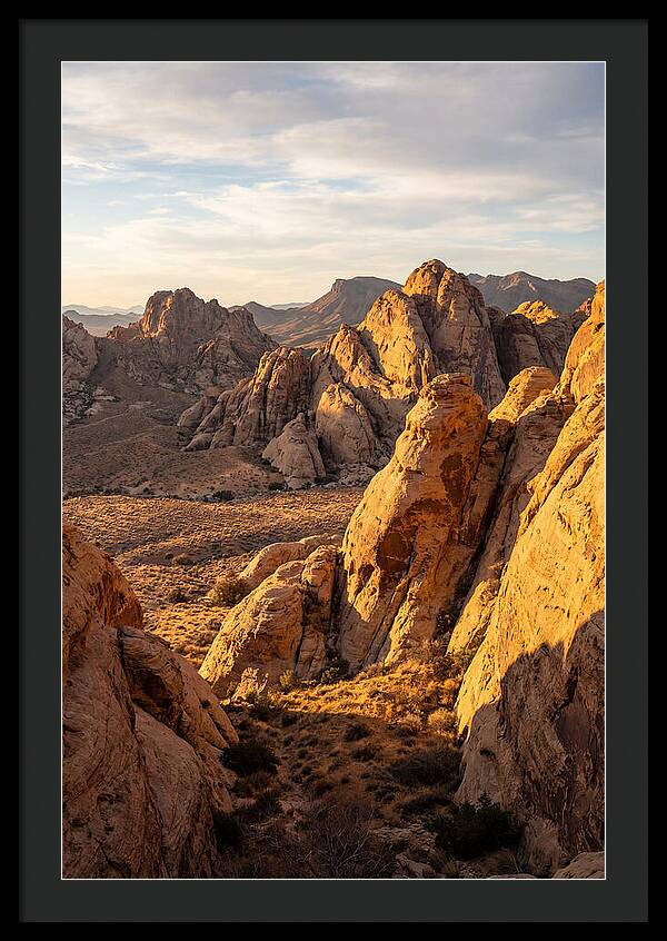 Big Bend Desert Majesty