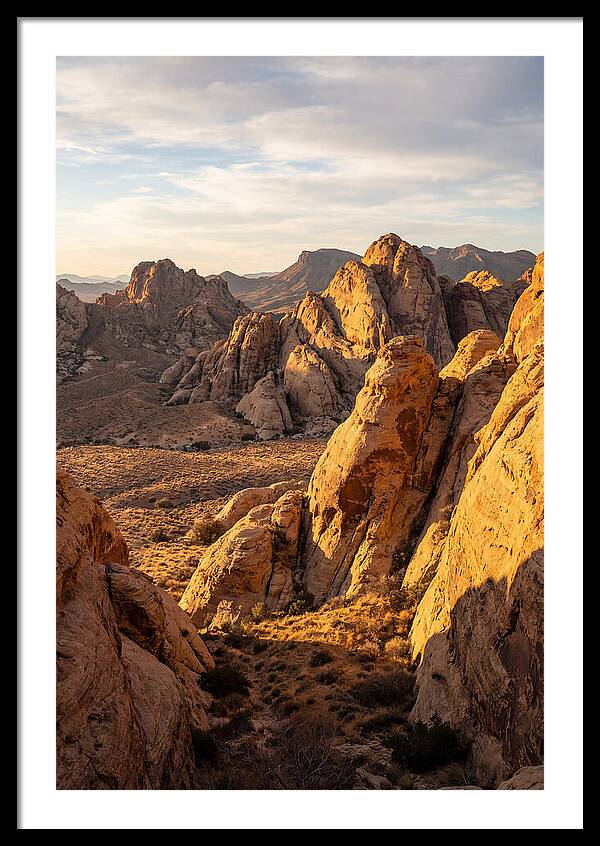 Big Bend Desert Majesty