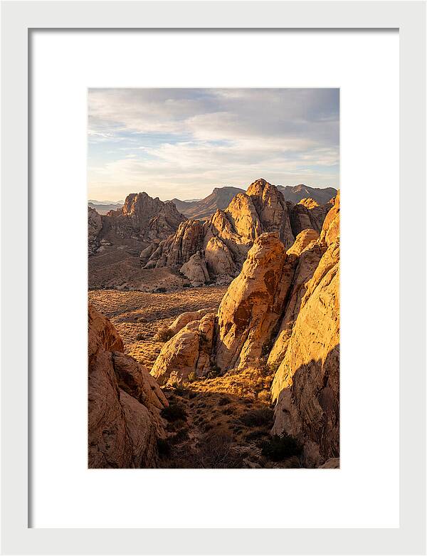 Big Bend Desert Majesty