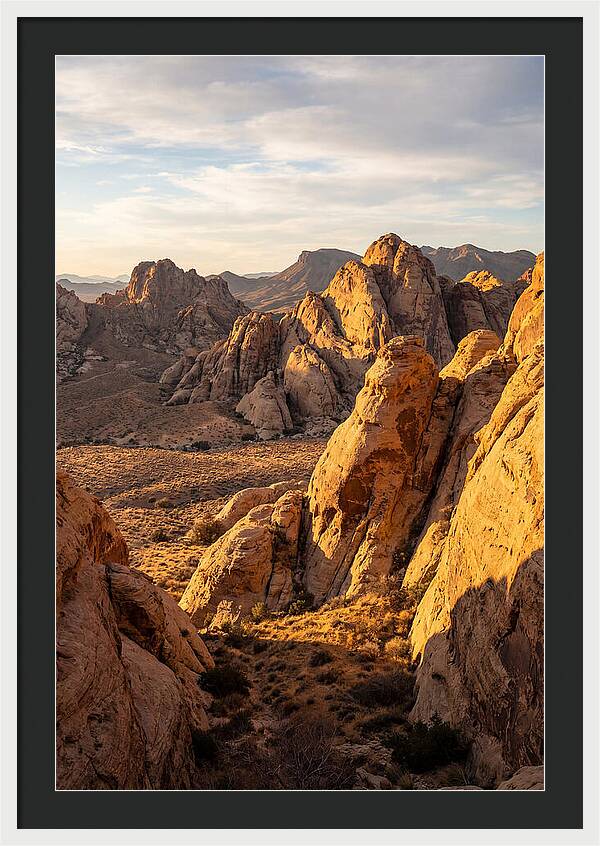 Big Bend Desert Majesty