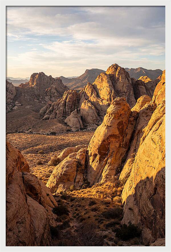Big Bend Desert Majesty