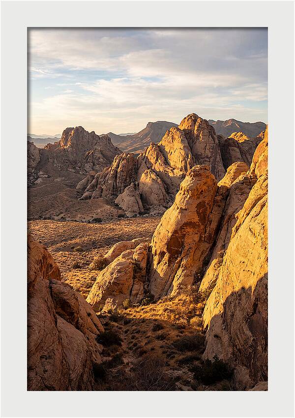 Big Bend Desert Majesty