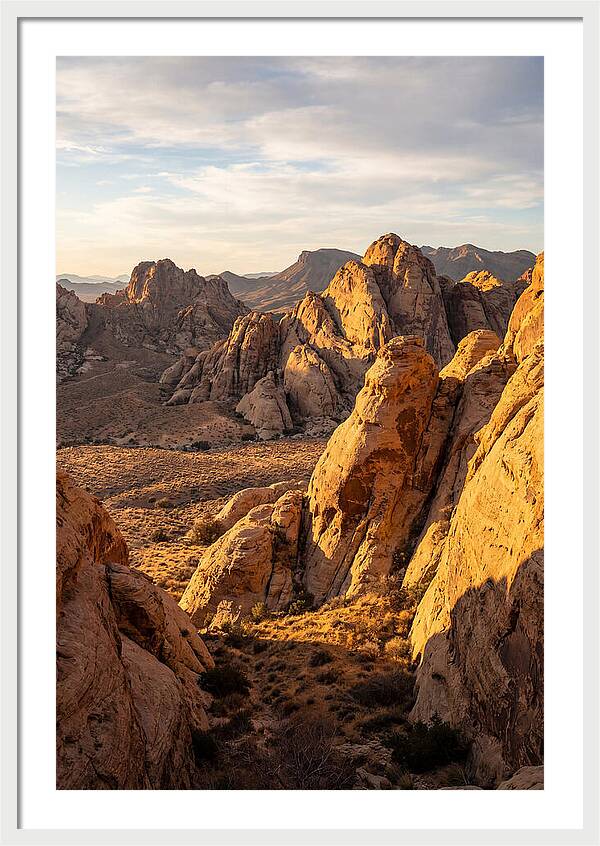Big Bend Desert Majesty