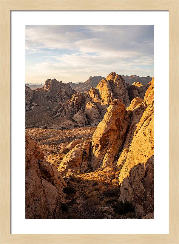 Big Bend Desert Majesty