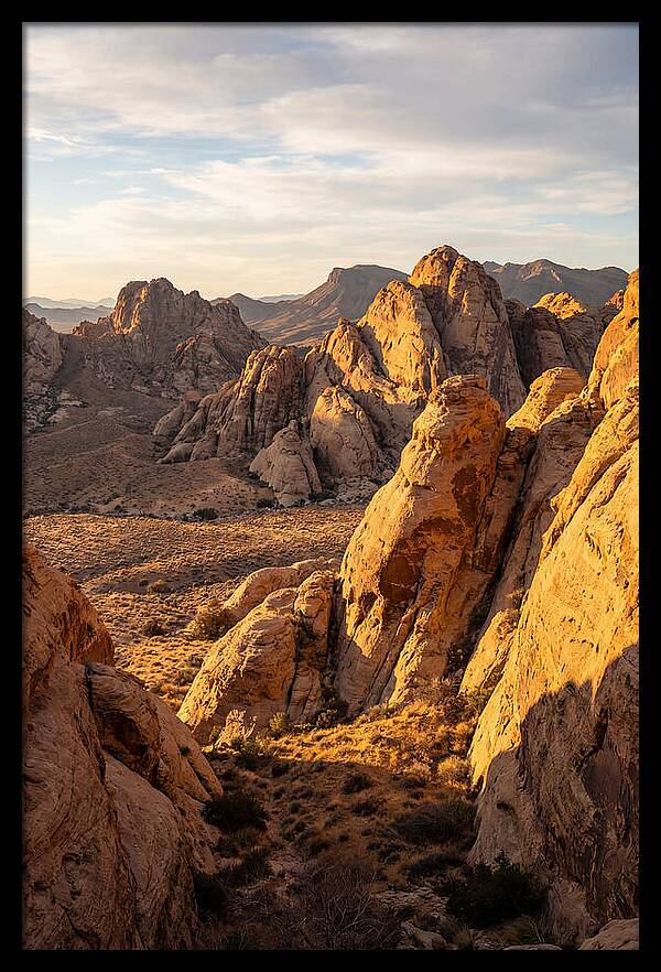 Big Bend Desert Majesty