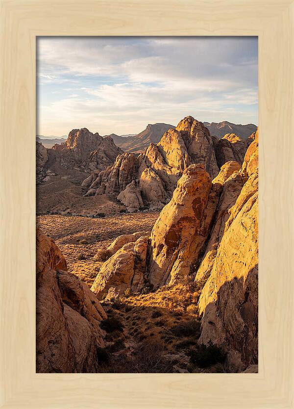Big Bend Desert Majesty