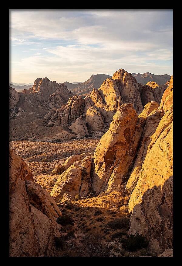 Big Bend Desert Majesty