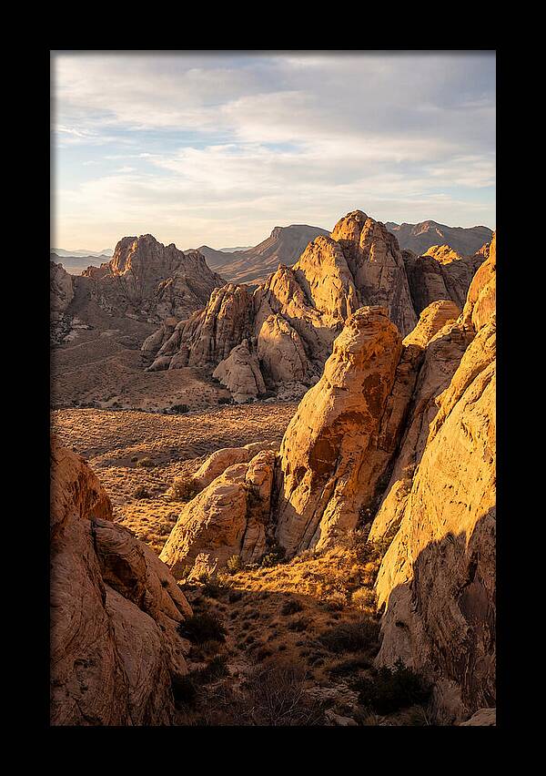 Big Bend Desert Majesty