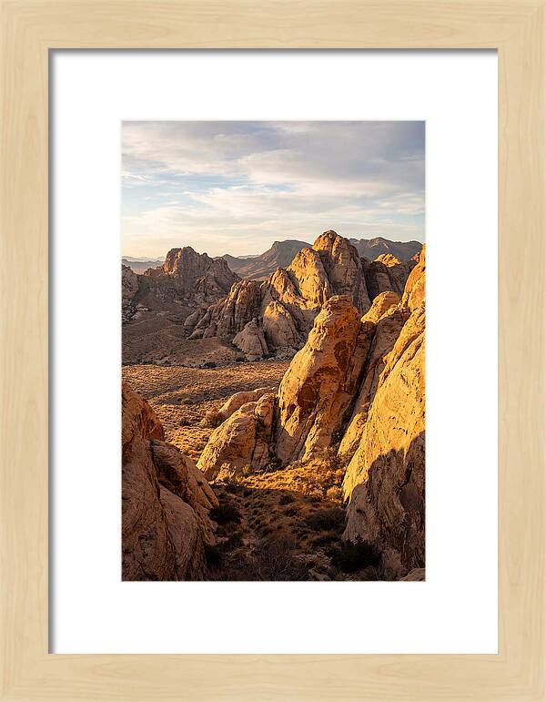 Big Bend Desert Majesty