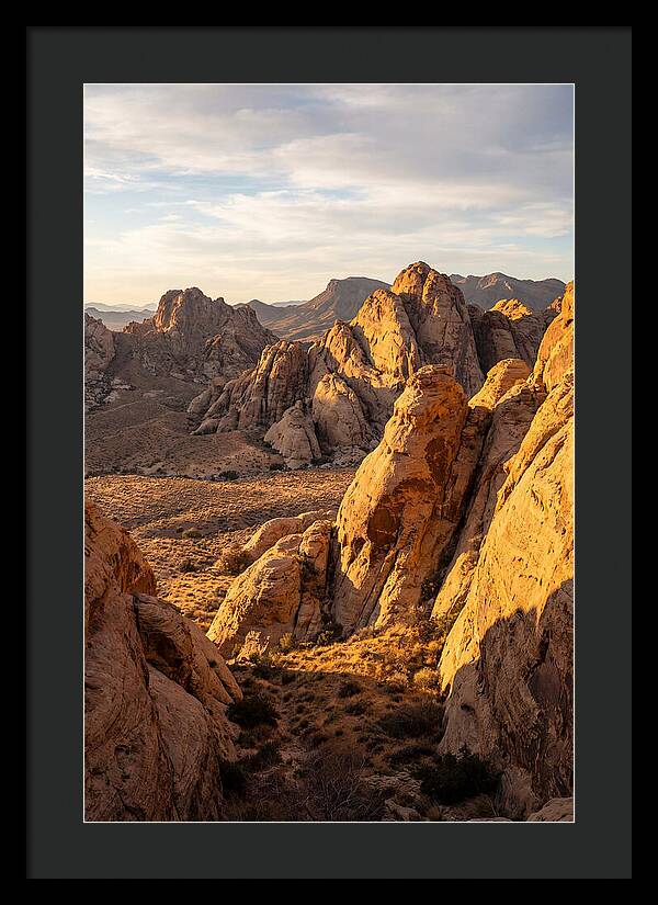 Big Bend Desert Majesty