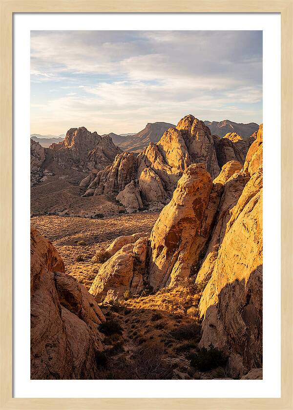 Big Bend Desert Majesty