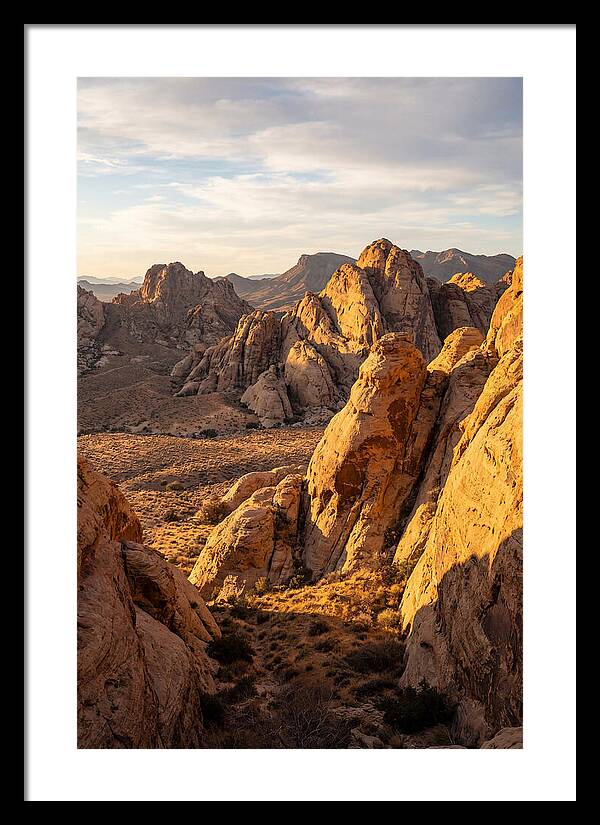 Big Bend Desert Majesty
