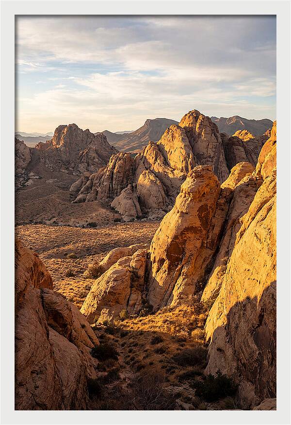 Big Bend Desert Majesty
