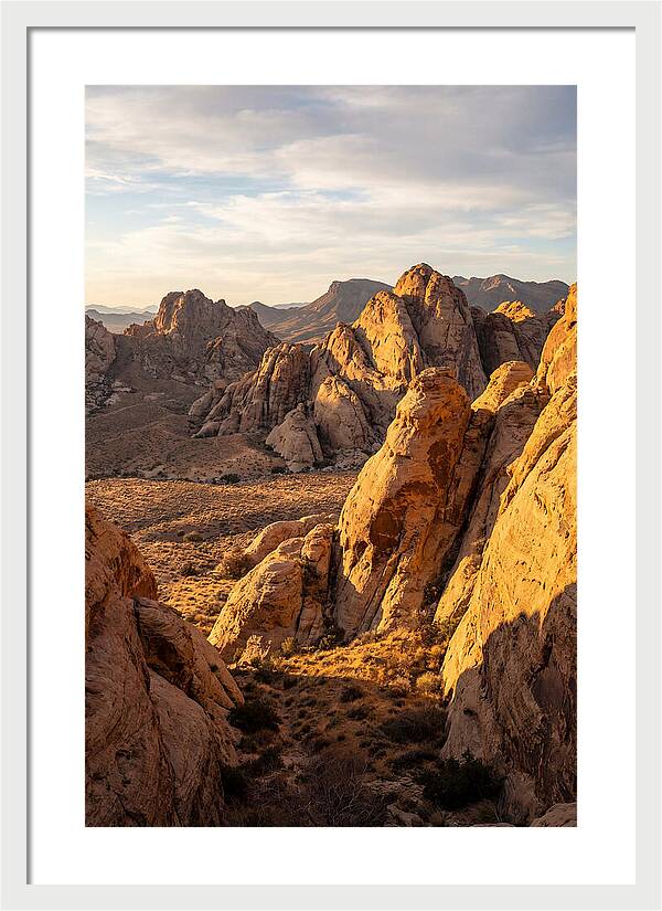 Big Bend Desert Majesty