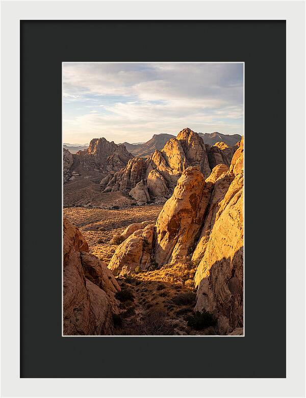 Big Bend Desert Majesty