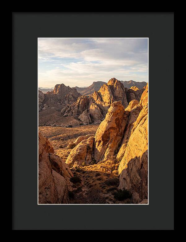 Big Bend Desert Majesty