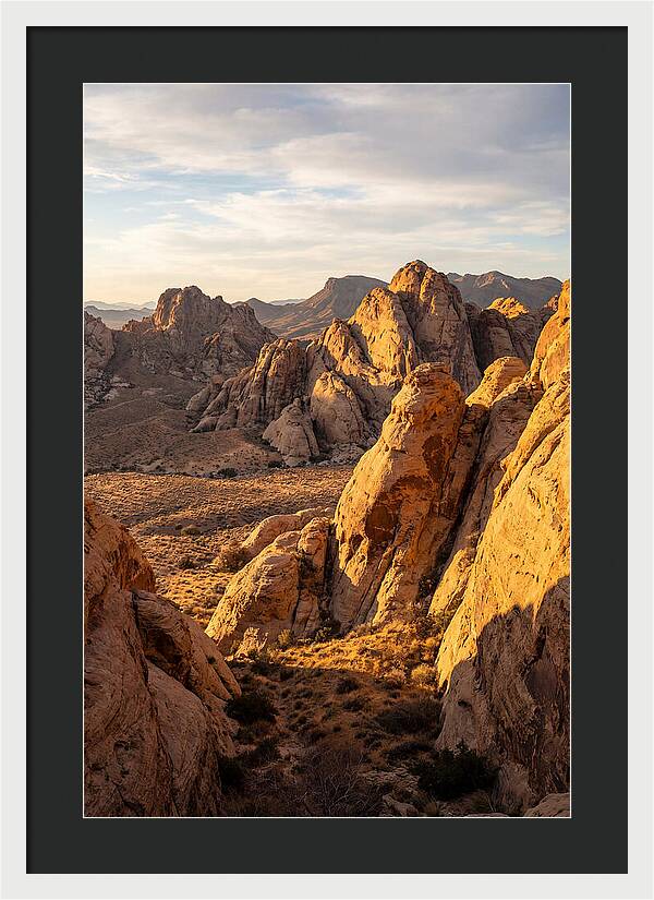 Big Bend Desert Majesty