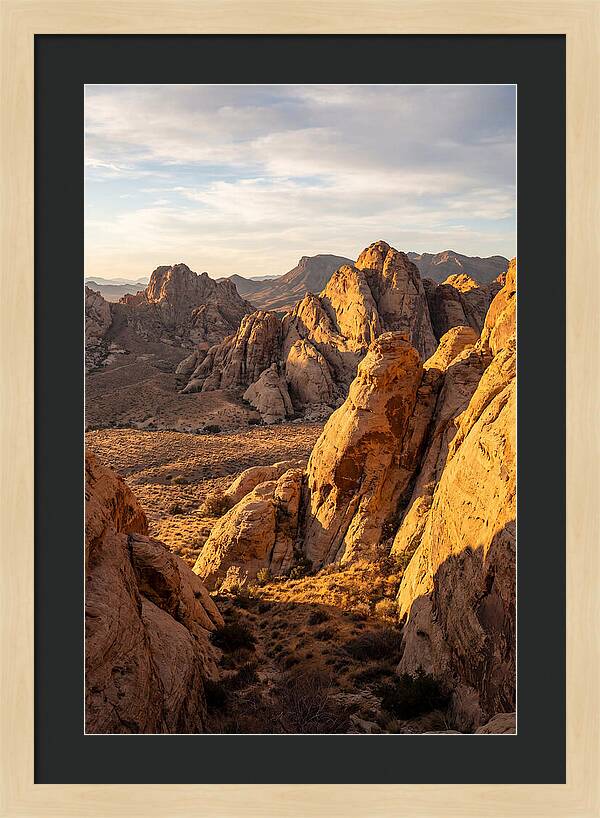 Big Bend Desert Majesty