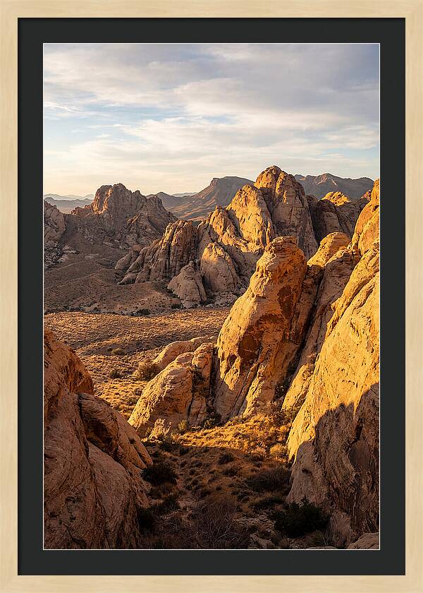 Big Bend Desert Majesty