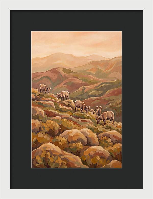 Bighorn Sheep On Mountain Slope