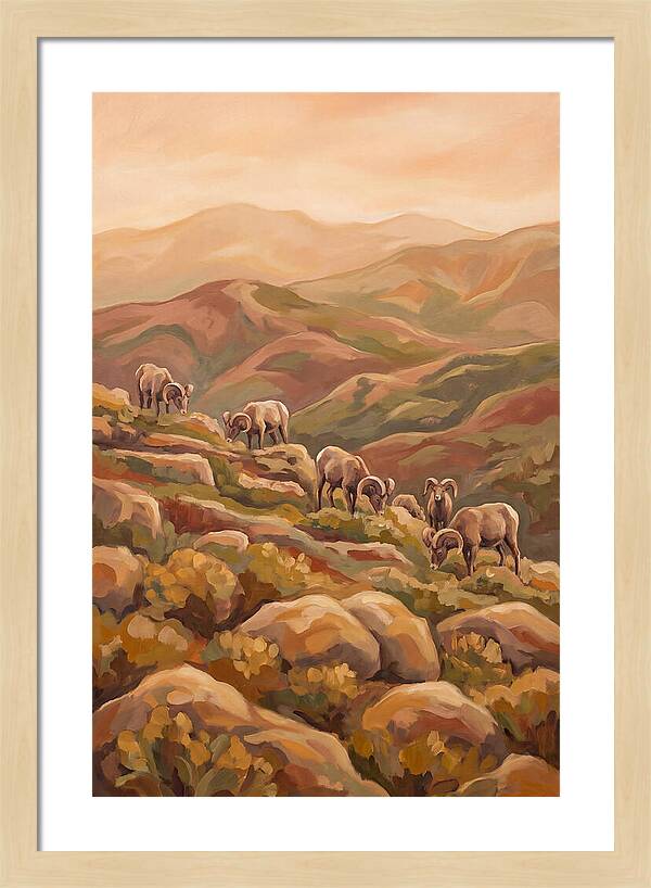 Bighorn Sheep On Mountain Slope