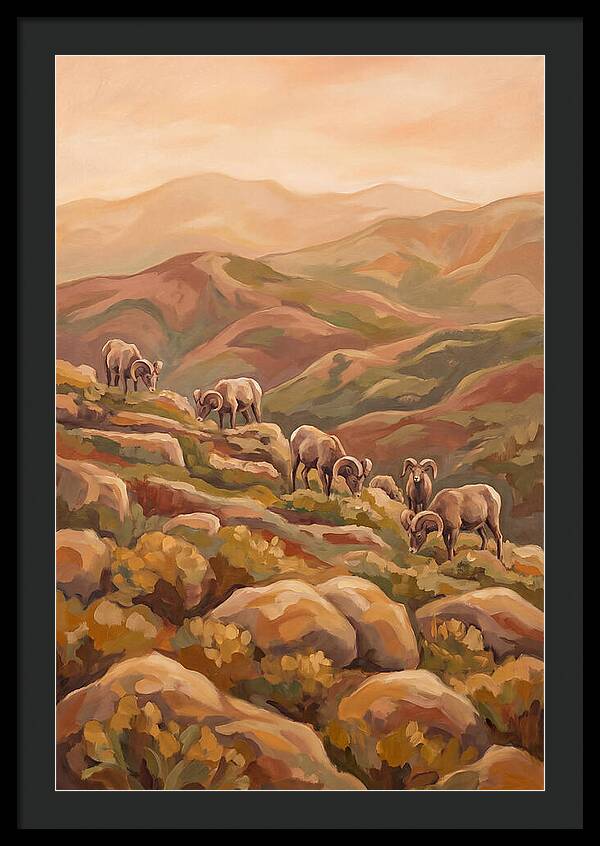 Bighorn Sheep On Mountain Slope