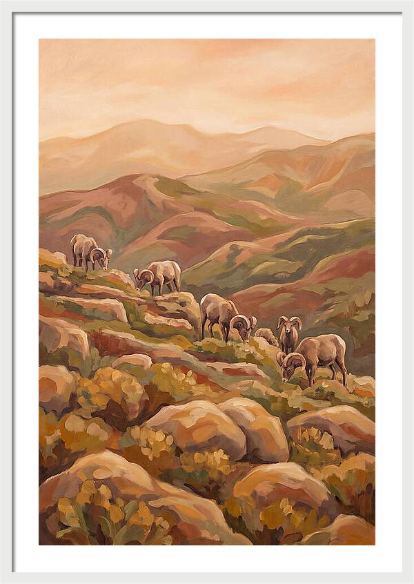 Bighorn Sheep On Mountain Slope