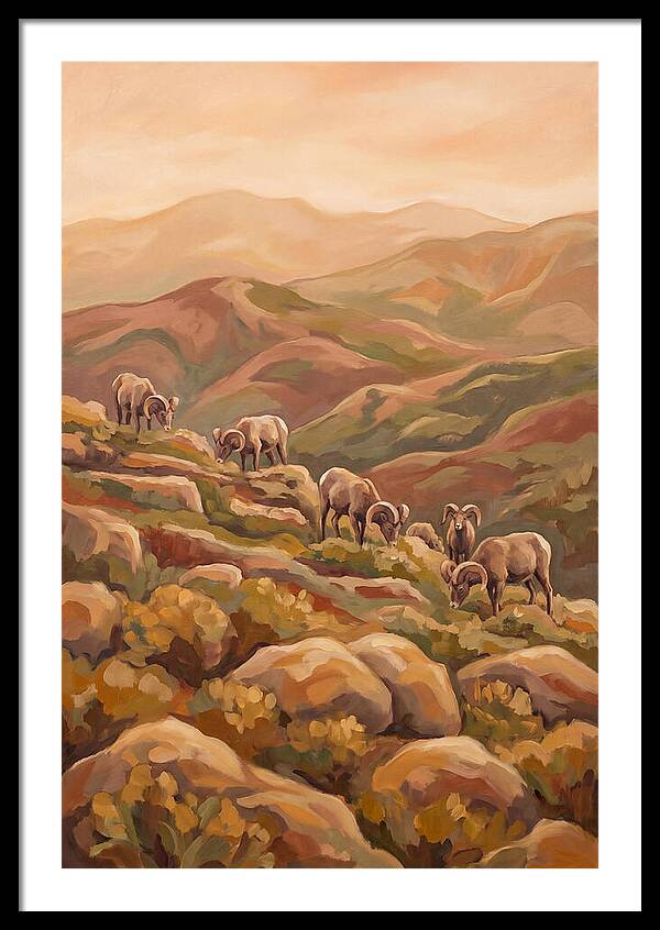 Bighorn Sheep On Mountain Slope