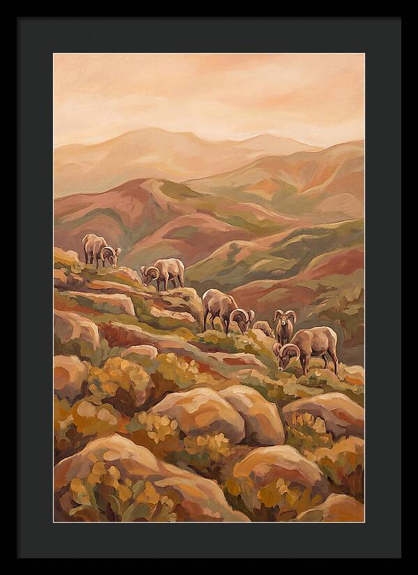Bighorn Sheep On Mountain Slope