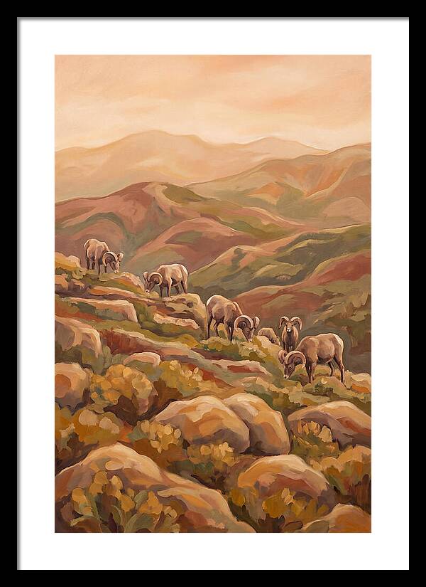 Bighorn Sheep On Mountain Slope