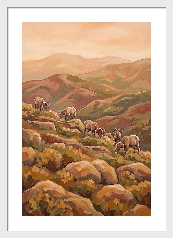 Bighorn Sheep On Mountain Slope