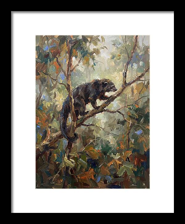 Binturong In The Canopy