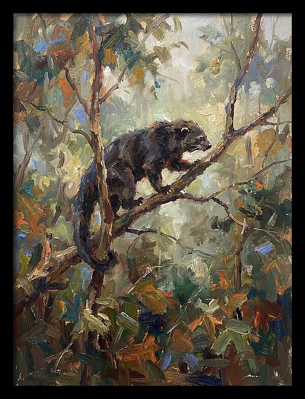 Binturong In The Canopy