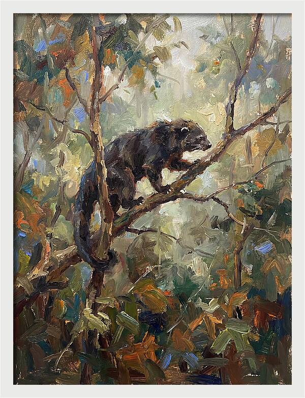Binturong In The Canopy