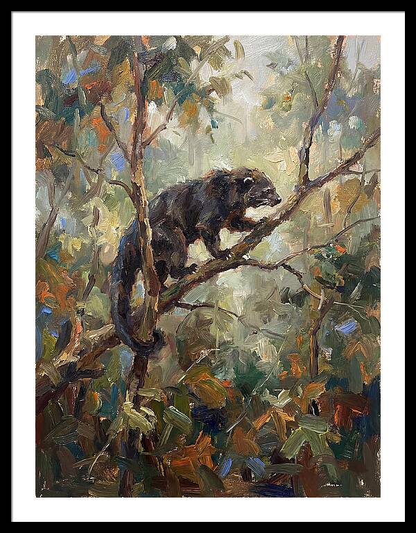 Binturong In The Canopy