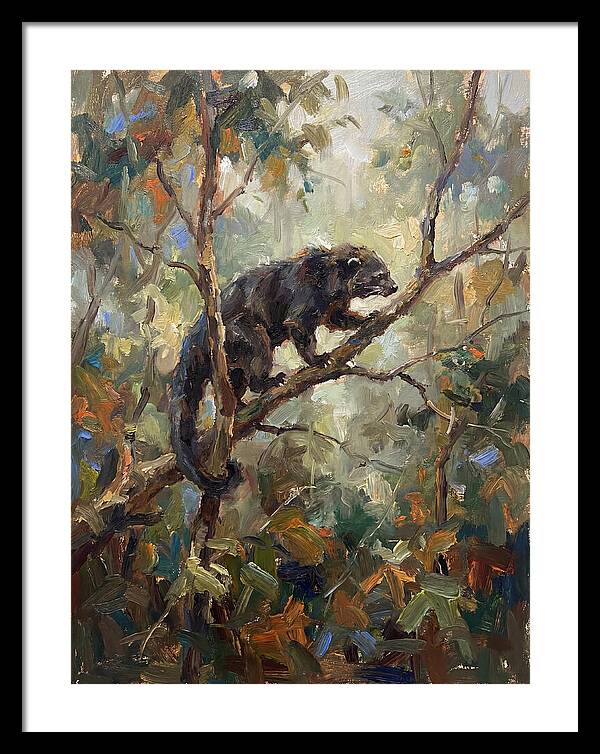 Binturong In The Canopy