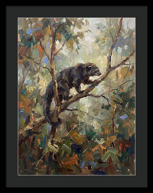 Binturong In The Canopy