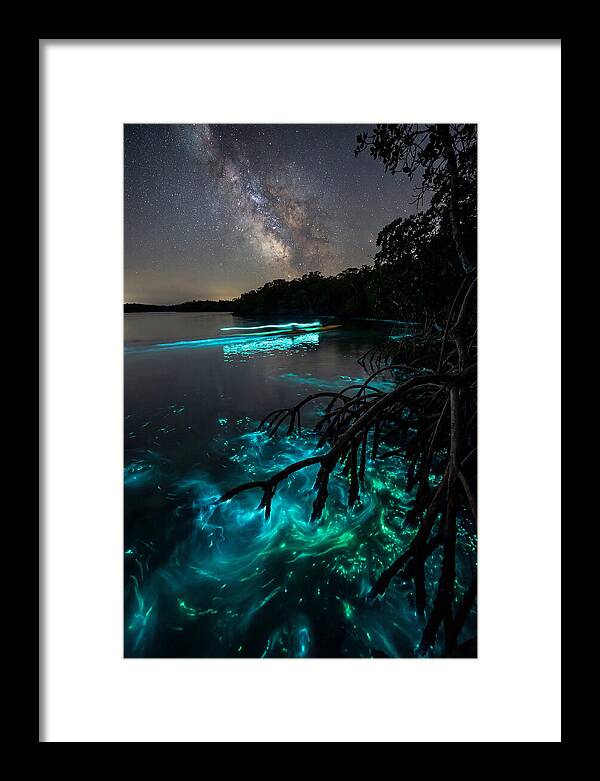 Bioluminescent Nightscape