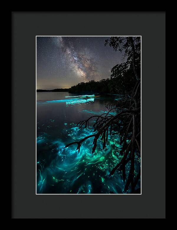 Bioluminescent Nightscape