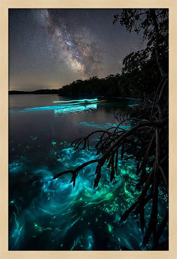 Bioluminescent Nightscape